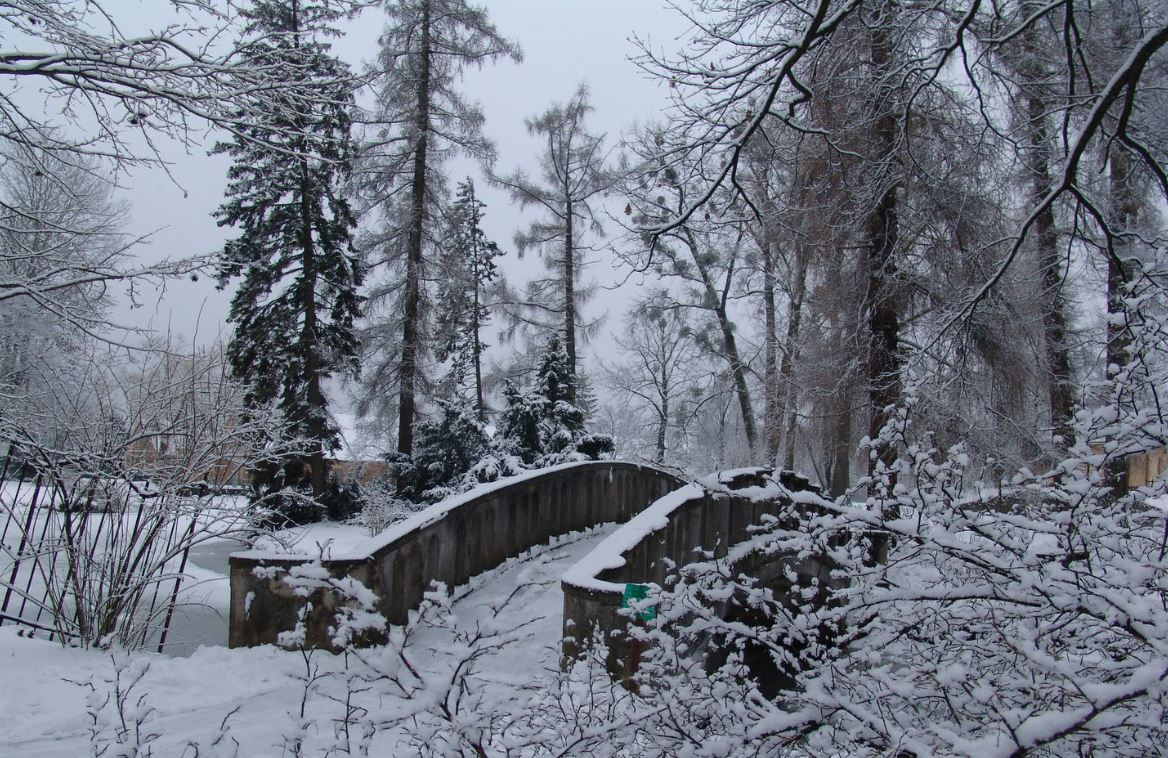 Vitautas Magnus Univerzitet, botanički vrt zimi