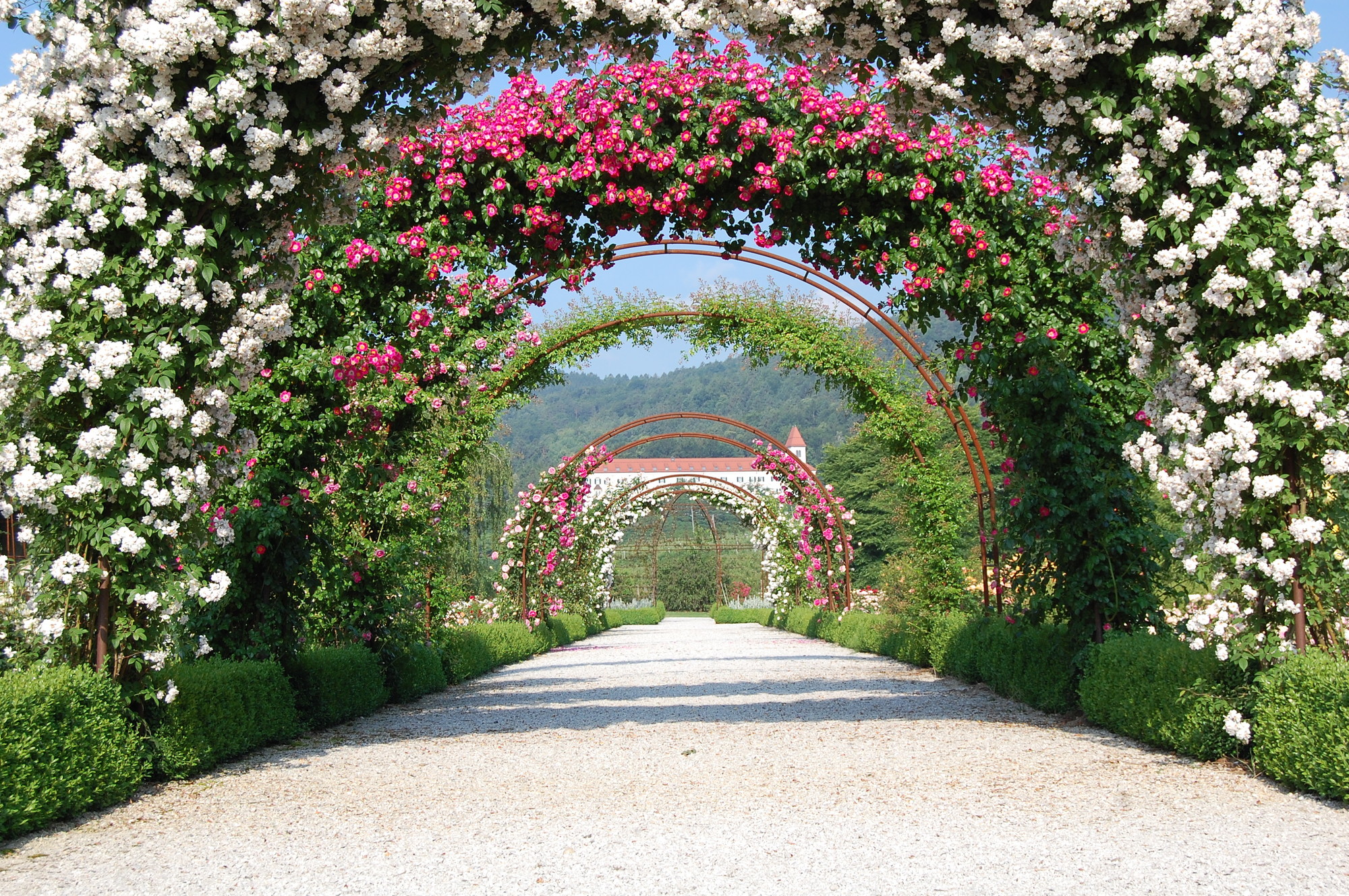 Botanički vrt Univerziteta u Mariboru